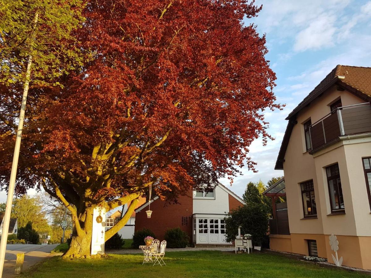 Ostsee Ferienwohnung Pelzerhaken นอยชตัดท์ อิน โฮลชไตน์ ภายนอก รูปภาพ
